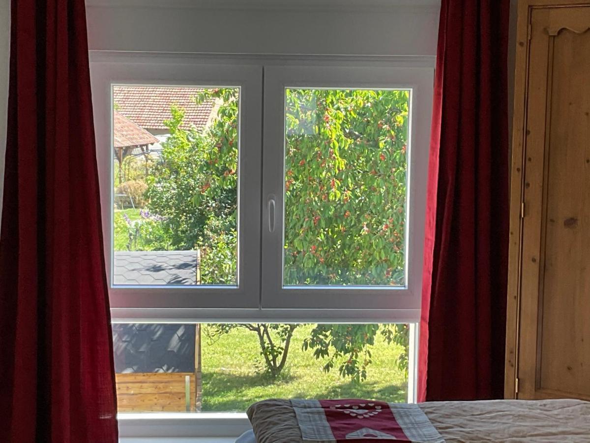 Gite Au Sauna De L'Aubach Scherwiller Buitenkant foto