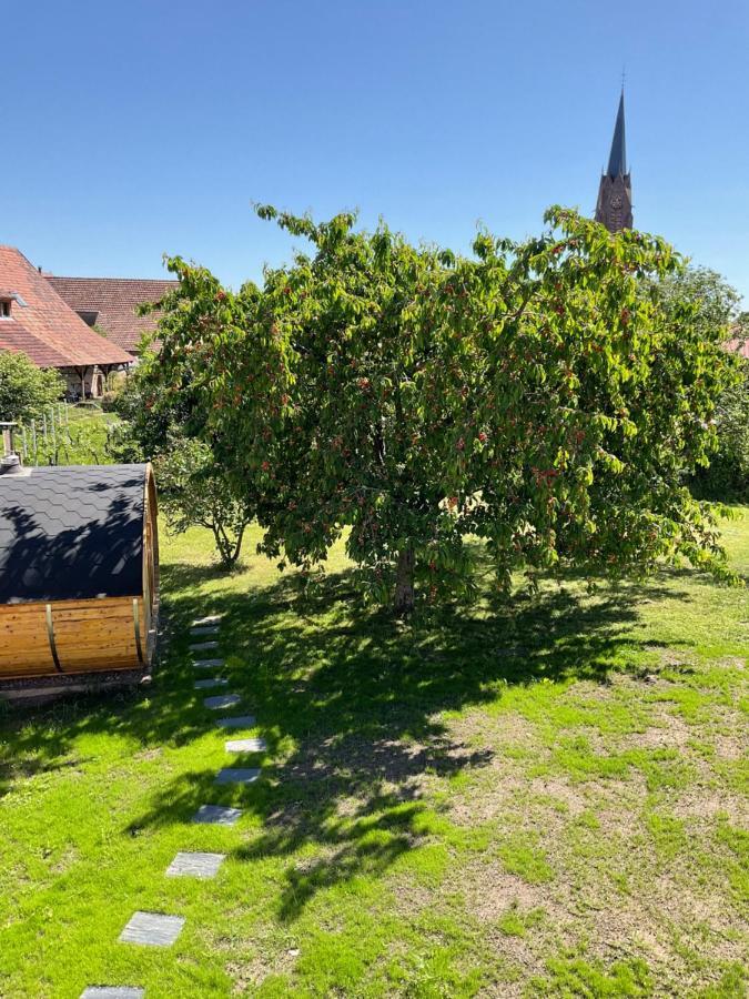 Gite Au Sauna De L'Aubach Scherwiller Buitenkant foto