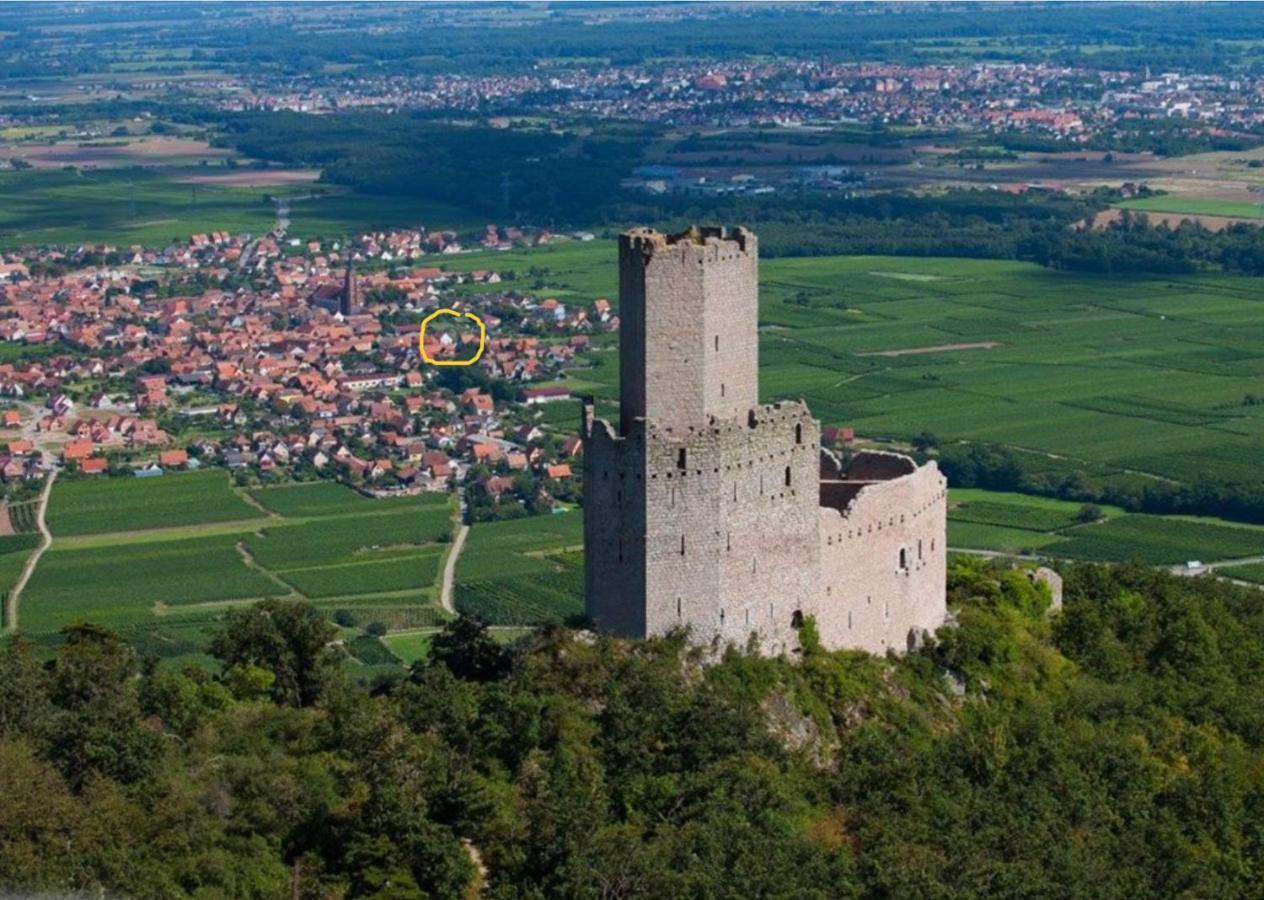 Gite Au Sauna De L'Aubach Scherwiller Buitenkant foto