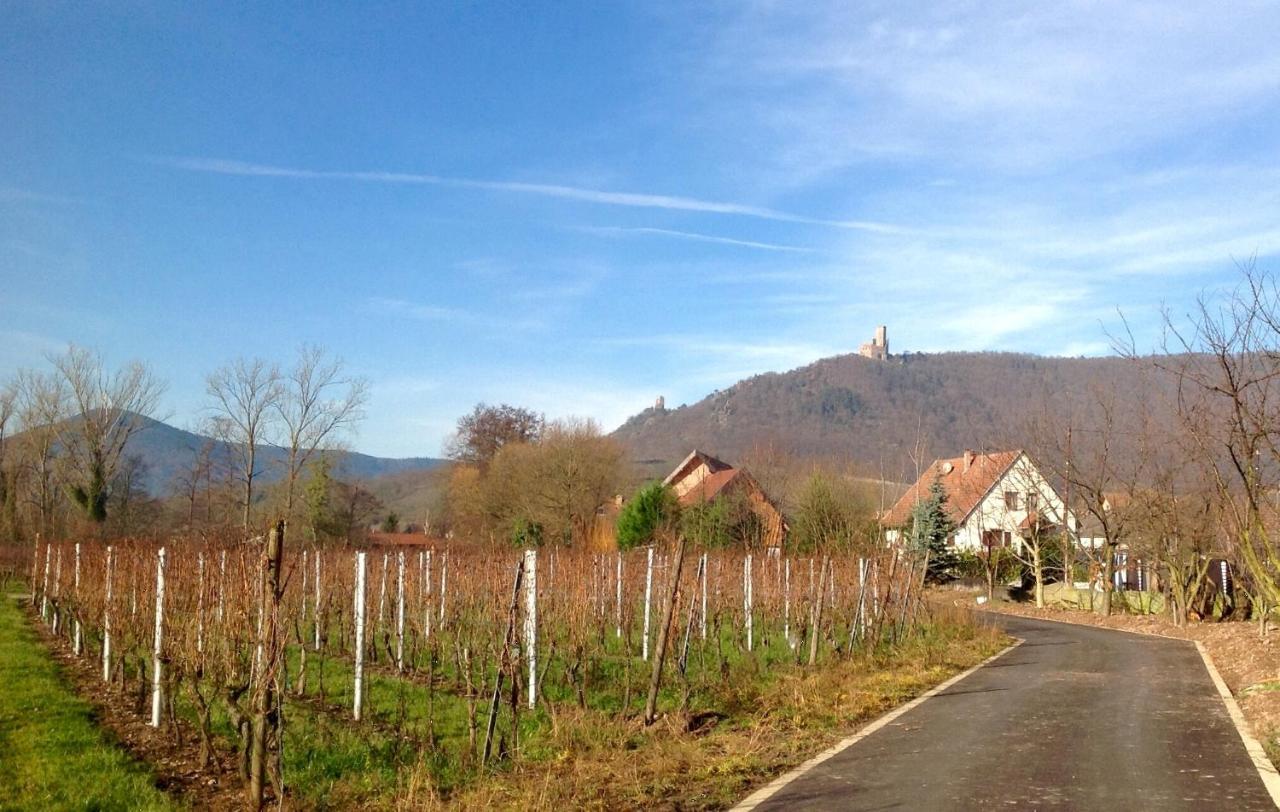 Gite Au Sauna De L'Aubach Scherwiller Buitenkant foto